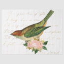 Search for words tissue paper Birds