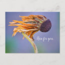 Search for care and concern cards Nature