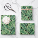 Search for green leaves wrapping paper Tropics