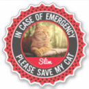 Search for pet stickers Fur baby