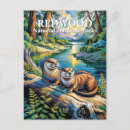 Search for redwood national park postcards Nature lover