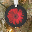 Search for daisy flower ornaments Bloom