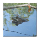 Search for frog tiles Blue