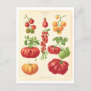 Search for seed postcards Catalog