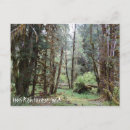 Search for washington state parks postcards Usa