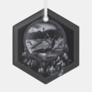Search for native american ornaments Dream catcher