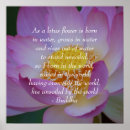 Search for lotus flower quote posters Buddha
