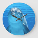 Search for dolphin clocks Porpoise