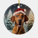 Search for rhodesian ridgeback ornaments Funny