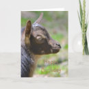 Search for baby goat birthday cards Kid