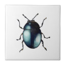 Search for cool tiles Cute