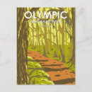 Search for olympic national park postcards Hoh rain forest