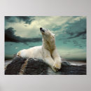 Search for wallpaper posters Big