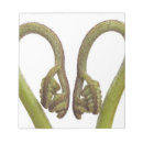 Search for heart shaped notepads Nobody