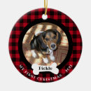 Search for buffalo plaid ornaments Pet