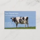 Search for dairy milk business cards Agriculture