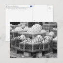Search for kosovo postcards Europe