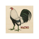 Search for gamecock art Rooster