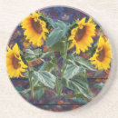 Search for sunflower coasters Barn wood