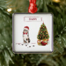 Search for australian shepherd ornaments Funny