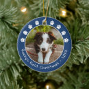 Search for puppys first christmas White