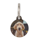 Search for dog supplies Dogs  name and photo