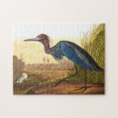 Search for audubon birds puzzles Nature