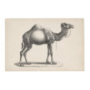 Search for camel gifts Wildlife