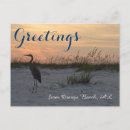 Search for orange beach alabama postcards Sunset