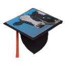 Search for cow graduation cap toppers Dairy