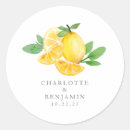 Search for fruit stickers Watercolor