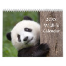 Search for panda bear calendars Wildlife