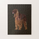 Search for irish puzzles Animal