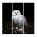 Search for whimsical owl art Animal