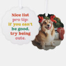 Search for ornament photo christmas cards Colorful