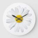 Search for flower clocks Daisy