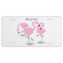 Search for flamingo license plates Birds
