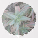 Search for succulents balloons Greenery