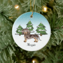 Search for dachshund ornaments Winter