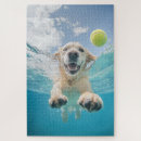 Search for golden retriever puzzles Dog