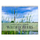 Search for wildflower calendars Botanical