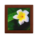 Search for hawaiian gift boxes Island