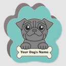 Search for pug magnets black