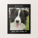 Search for border collie puzzles Black and white dog