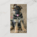 Search for german shepherd business cards Dogs