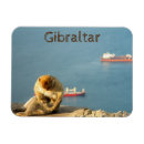 Search for gibraltar magnets Ape