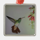 Search for ecuador ornaments South america