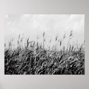 Search for black and white landscape posters Landscapes