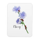 Search for flower magnets Modern