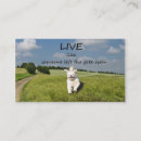 Search for someone left the gate open Dog